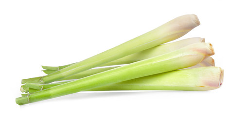 Lemon grass on white background