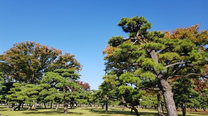 Fototapeta na wymiar japan park 1
