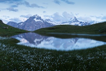 Panorama over the Bachalpsee during the famous hiking trail from First to Grindelwald (Bernese...