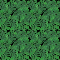 Naklejka na ściany i meble Pattern Digital paper Tropics Leaves of Monstera Palm Watercolor illustrations Botanical Decorations Design