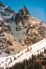 Mountains winter landscape. Tatra mountains in Poland retro vintage tones. © Kozioł Kamila