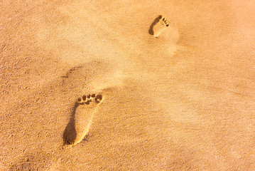 Footprints of childrens naked feet on sand