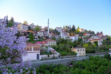 old trabzon houses turkey ( life style) 