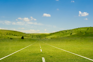 green road through the sunny countryside