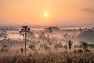 Thung Salaeng Luang National Park, Dramatic shine silhouette tree colorful warm above mountain at Phetchabun Province,Thailand