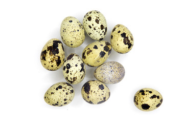 Several quail eggs isolated on white, with shadows