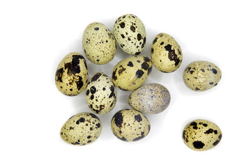 Obraz premium Several quail eggs isolated on white, with shadows