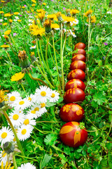 banner uova di Pasqua sull'erba verde fiori