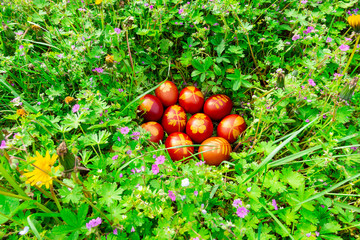 uova di Pasqua