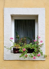 Plakat Fenster eines Hauses im Urlaubsort Rathen im Elbsandsteingebirge