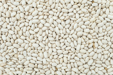 Dried white seeds of beans background. Food groceries product.