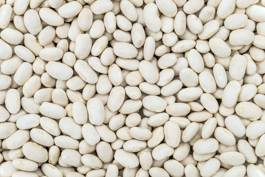Dried white seeds of beans background. Food groceries product close-up.