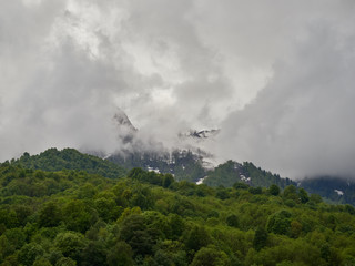 High mountains with snowy peaks in thick fog and green forest in front of them