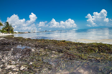 costa del caribe