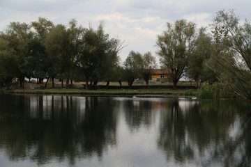 Fototapeta na wymiar Green forest by the lake in reflection in the water beauty in nature