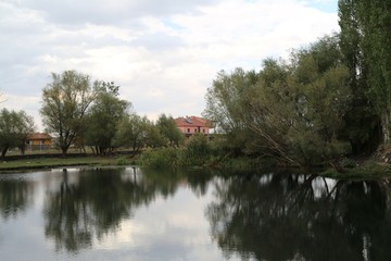 Green forest by the lake in reflection in the water beauty in nature