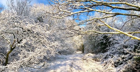 depth of snow