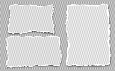 Set of white squared ripped notebook paper, torn note paper strips stuck on grey background. Vector illustration