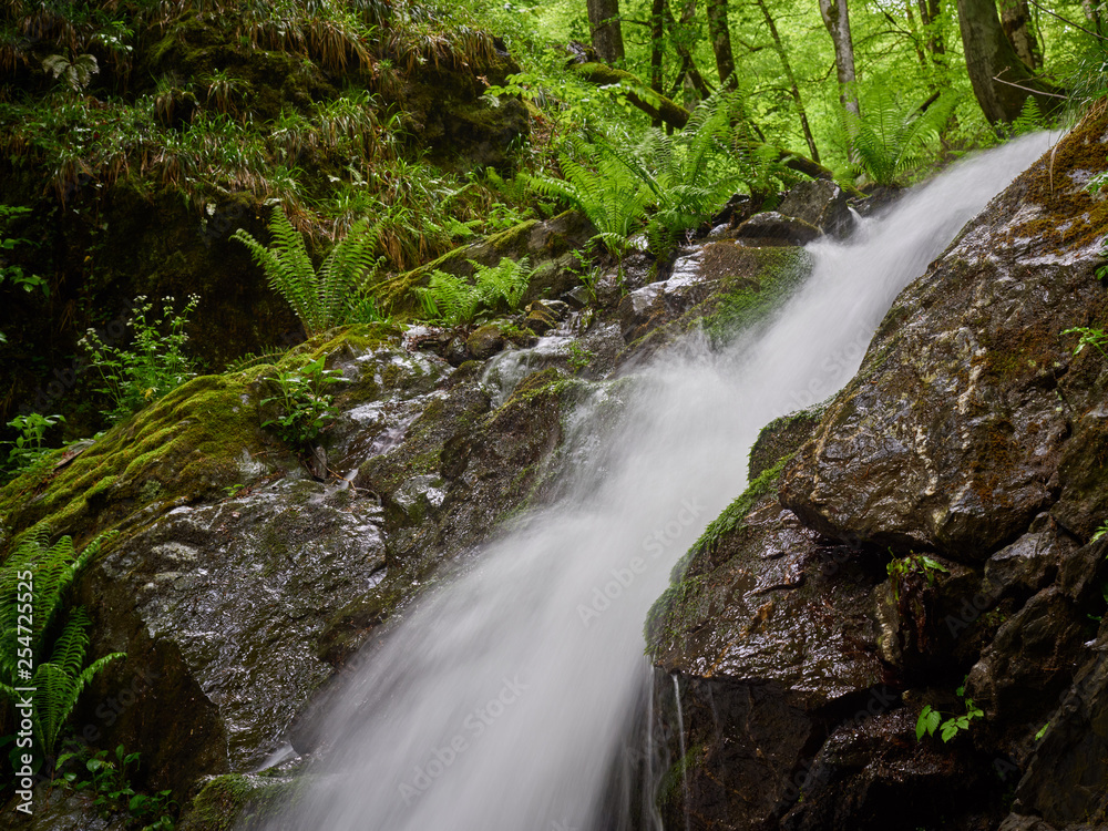 Wall mural powerful creek with a waterfall in the spring forest. mountains in the spring.