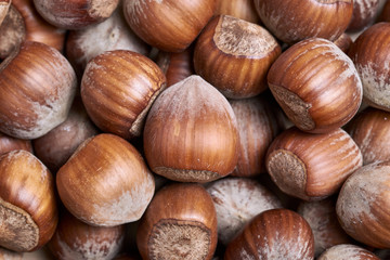 Heap of brown hazelnuts close-up from above. Food flat lay and macro 