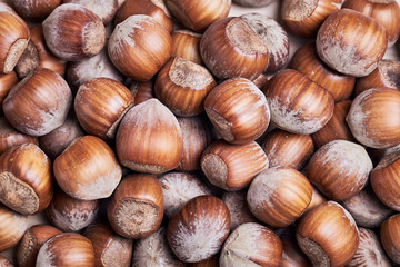 Close-up of hazelnuts from above