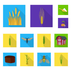 Vector illustration of wheat and corn logo. Collection of wheat and harvest vector icon for stock.