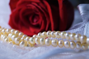 Жемчуг и роза