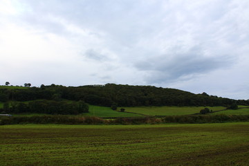 Nature Landscape Background