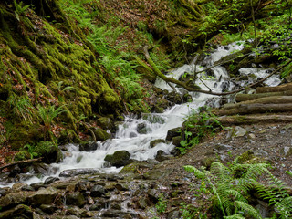 Powerful creek with a cascading waterfall in the forest in spring. Mountains in the spring.