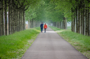 couple walking in a park
