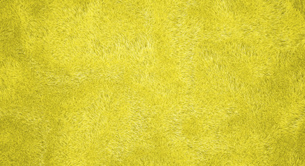 Obraz premium beautiful cozy carpet isolated on white background. 3d render