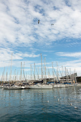 Fototapeta premium Yachts at the berth of Barcelona