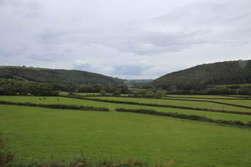 Naklejka premium Nature Countryside Background