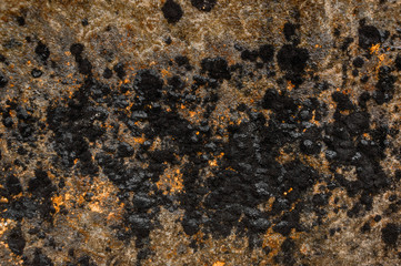 Colorful mold on limestone rocks.