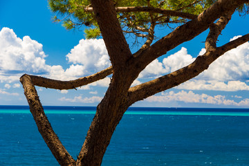 Obraz premium Beautiful sea in a summer day in Italy