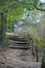 Fototapeta na wymiar old wood steps in the countryside in Italy