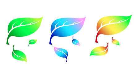 Beautiful leaves of a tree, colored.leaves are colored, different. Big and small.