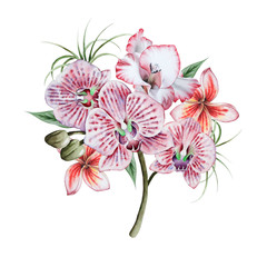 Watercolor bouquet with flowers. Illustration. Hand drawn.