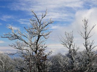 la spettacolare natura ghiacciata in inverno