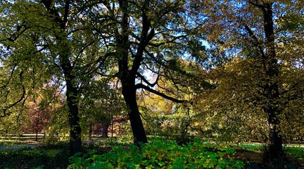 green floor