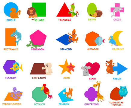 basic geometric shapes for kids with animals