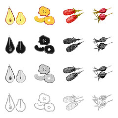 Vector design of food  and raw  sign. Set of food  and nature   vector icon for stock.