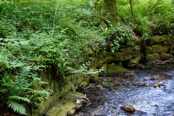 river with moss covered rocks at swabian alb
