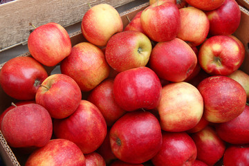 Fototapeta na wymiar red apples in the market