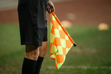 Details of a linesman referee
