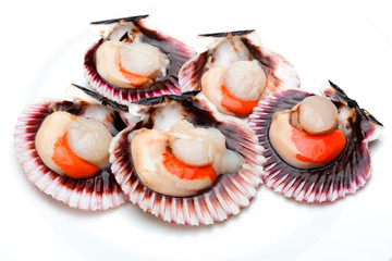 Scallops fresh, raw and clean on white background (zamburiñas)
