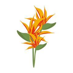 Beautiful flower cartoom isolated