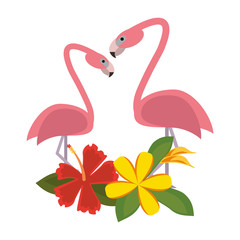 Exotic birds cartoons