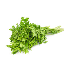 Celery bouquet isolated
