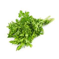 Celery bouquet isolated